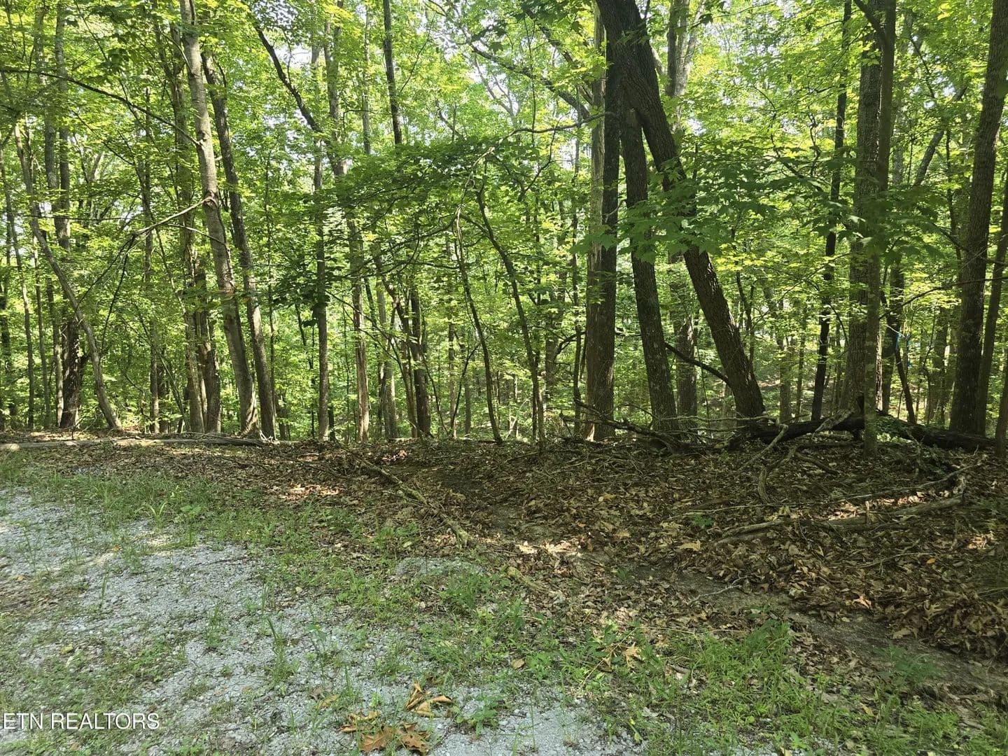 Property from 16 Trentwood Terrace - KW - Crossville, Tennessee, 38558