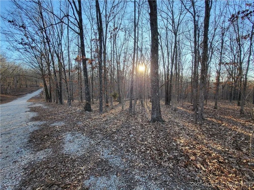 Lots & Land-Other in Edwards - Edwards, Missouri, 65326