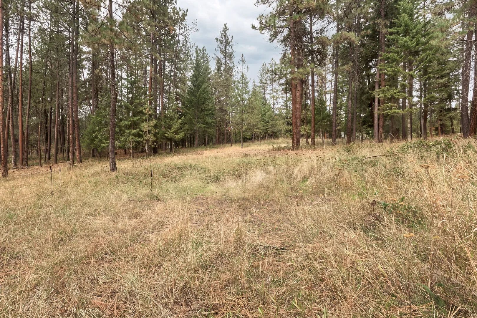 Land -Agricultural (Not Zoned) in Moyie Springs, - Idaho, 83845