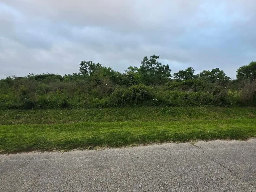 Property from 1331 Bahama Lane - KW