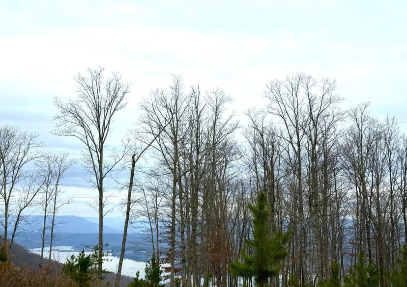 Property from 0 Wohalie Lane #Lots 45/45a - KW