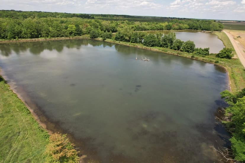 145 Acres in Coahoma County in Alligator, MS