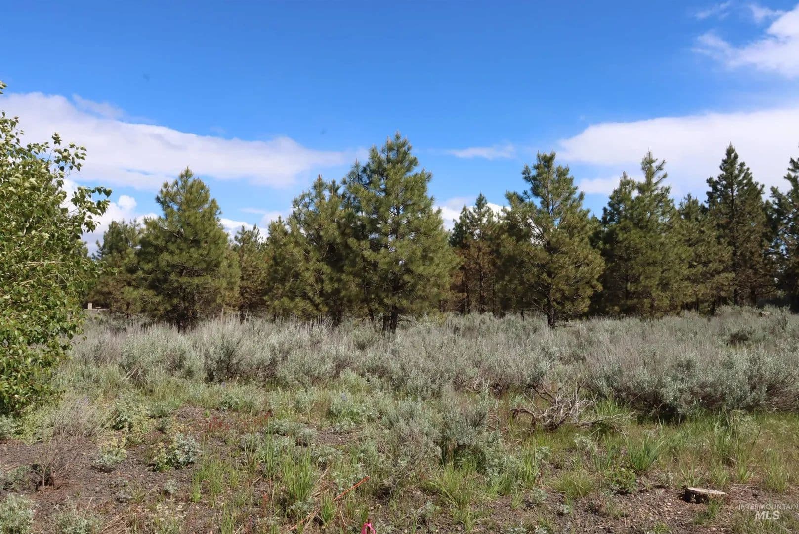 Property from 7 Bitterroot Ct - KW - Mccall, Idaho, 83638
