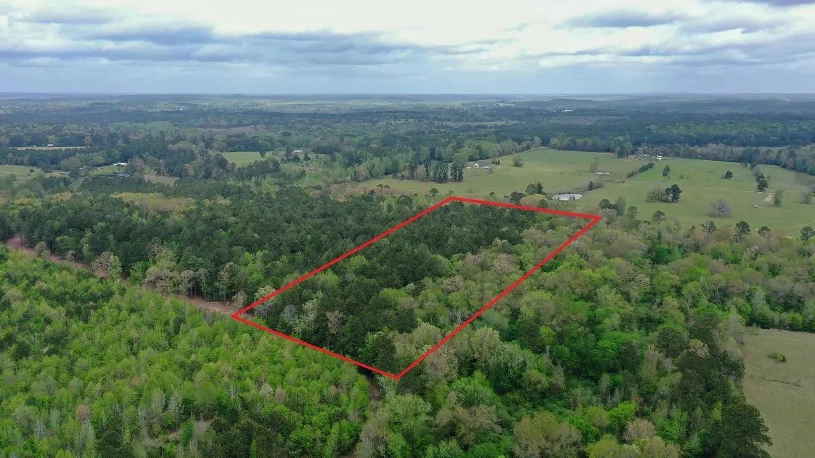 Lots & Land-Other in Linden - Linden, Texas, 75563