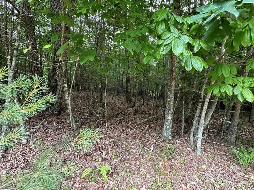 Property from TBD Live Oak Lane - KW