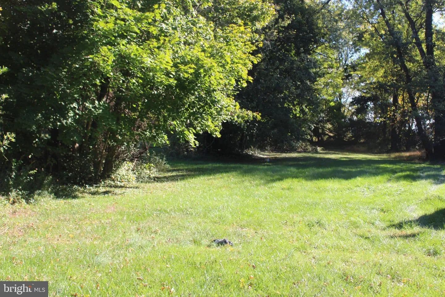 Vacant Land in Darlington - Darlington, Maryland, 21034