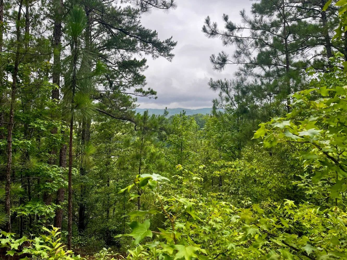 Crows Nest at Beeswax - Columbiana, Alabama, 35051
