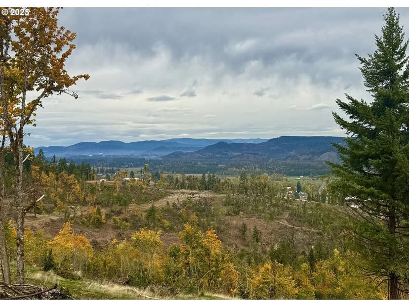 Lots & Land-Other in PleasantHill