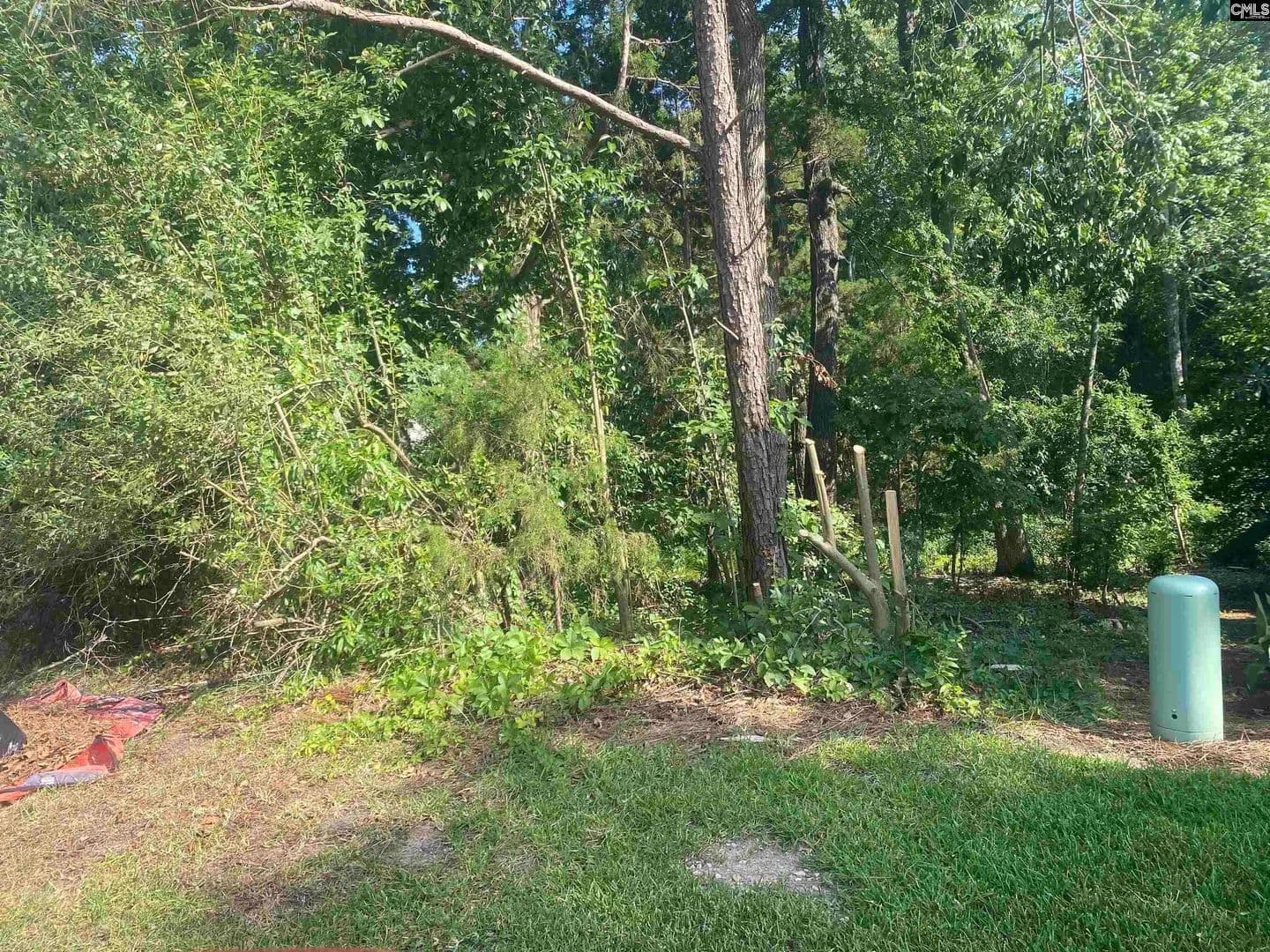 Lots & Land-Other in Irmo - Irmo, South Carolina, 29063