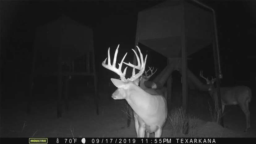 Property from 7309 CR 231 - KW