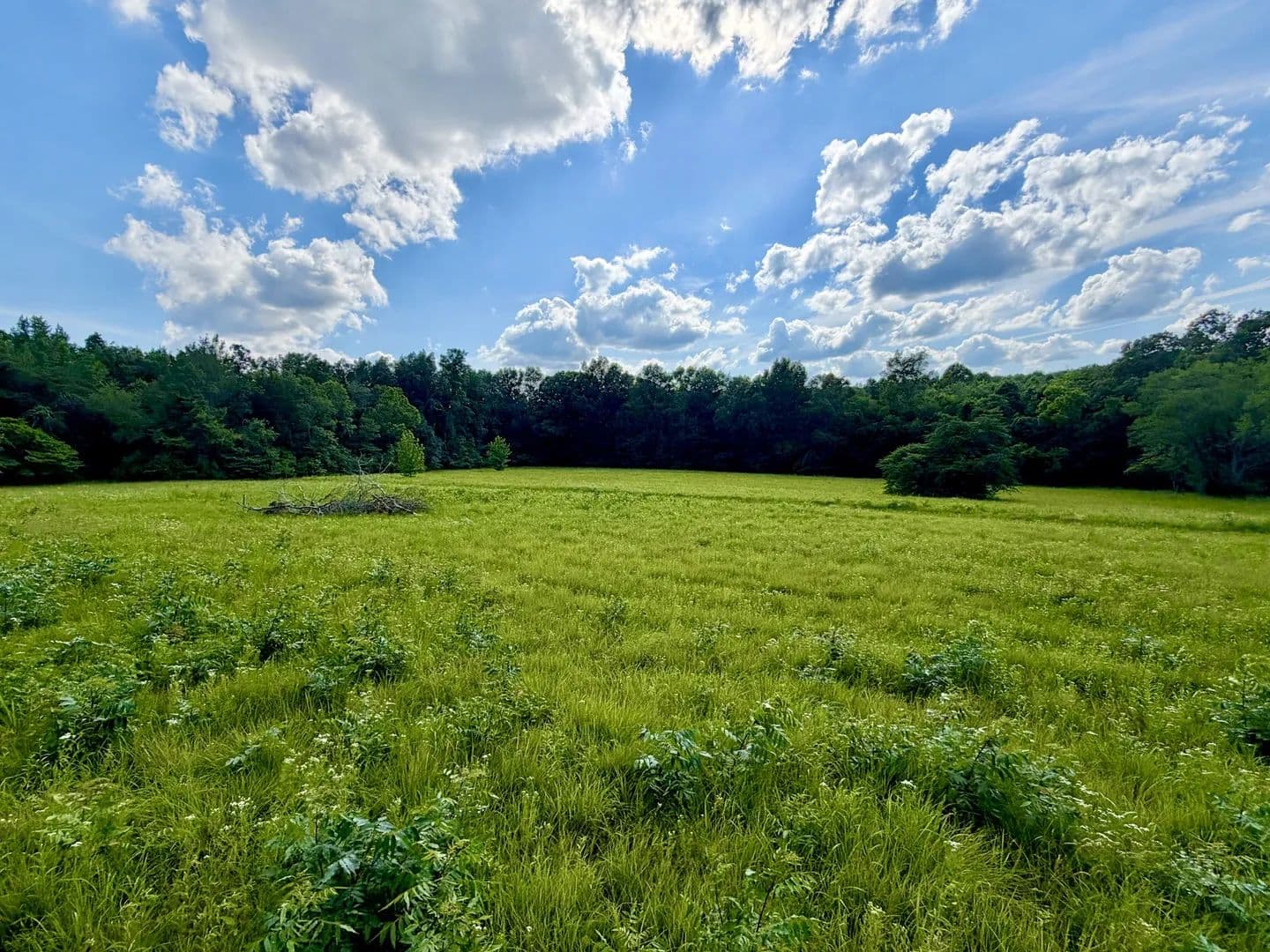 Property from 1251 Highway 96 N - KW - Fairview, Tennessee, 37062