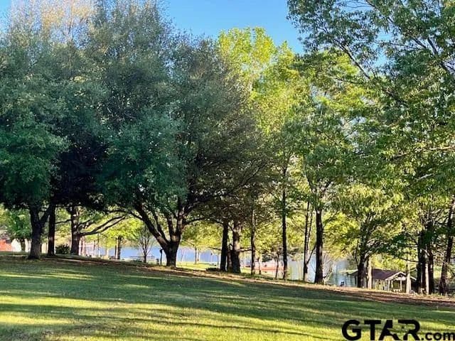 Vacant Land in Pittsburg - Pittsburg, Texas, 75686
