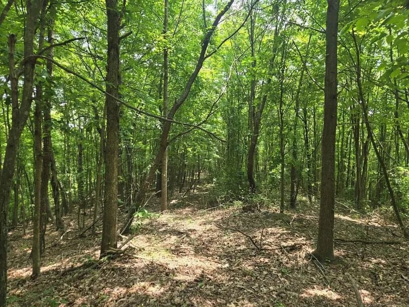 Lots & Land-Other in Portsmouth