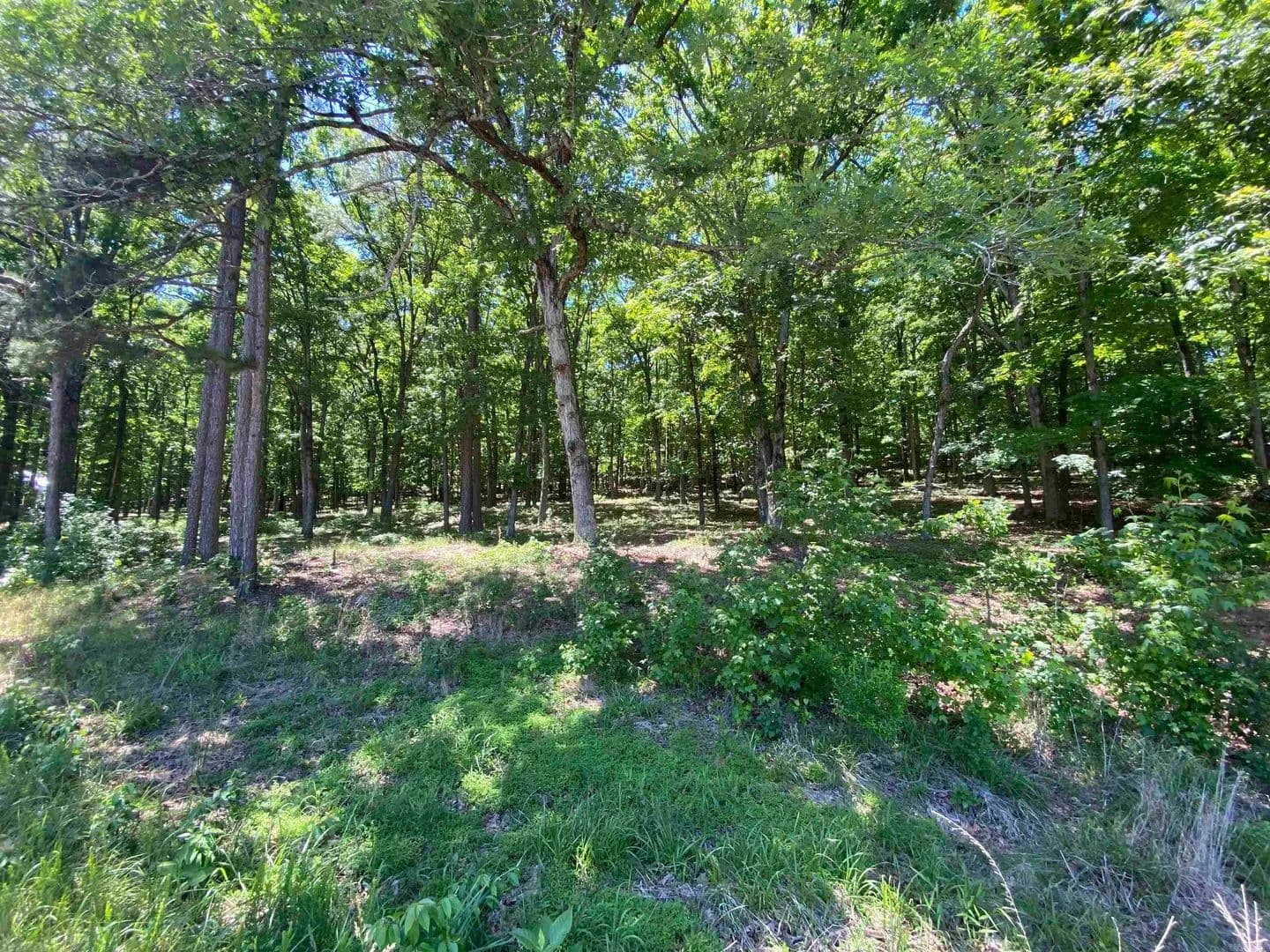 Lots & Land-Other in Edgemont - Edgemont, Arkansas, 72044