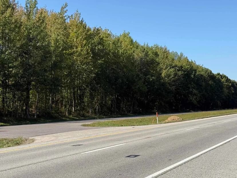 Lots & Land-Other in Murphysboro