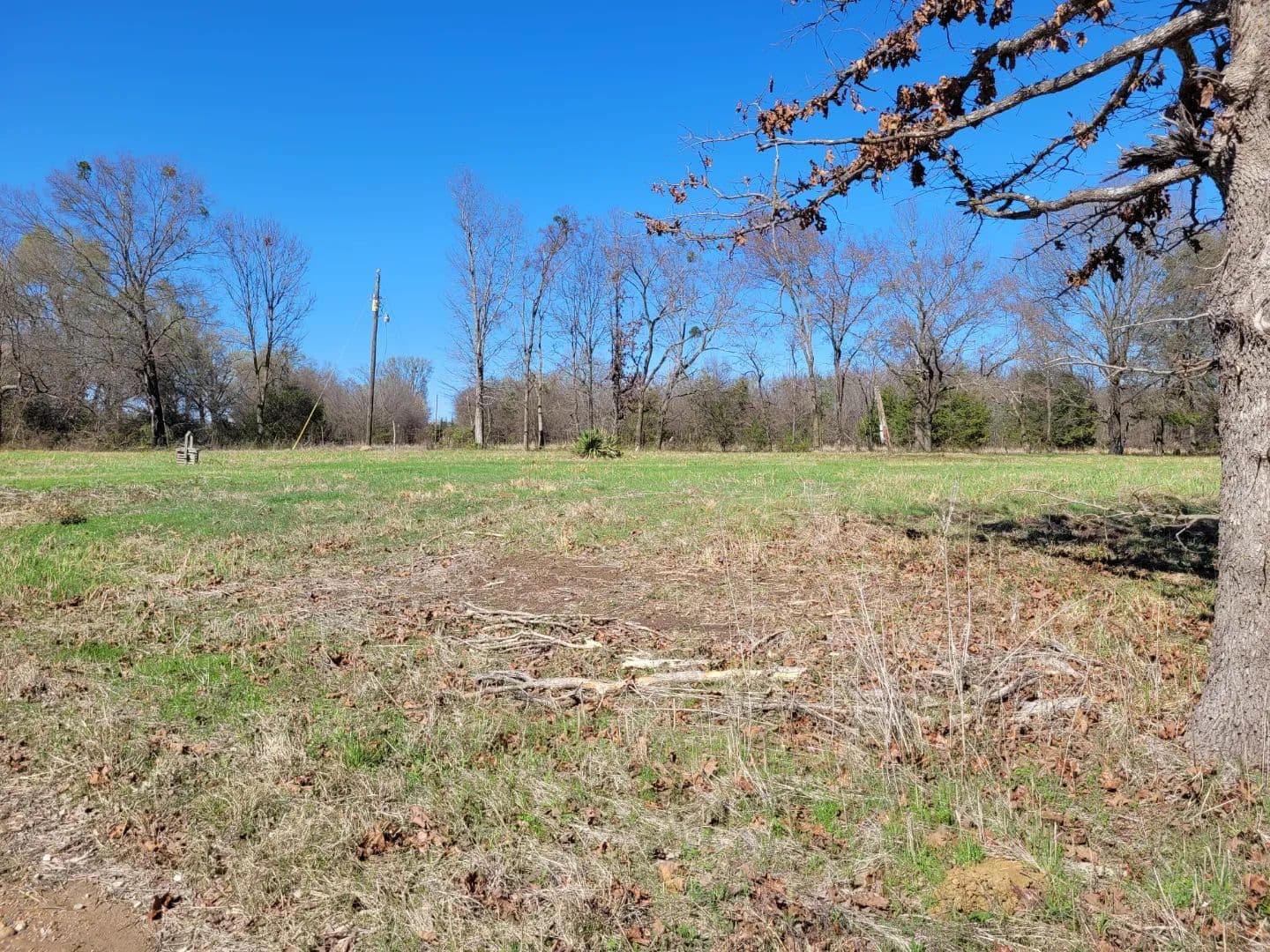 1.97-Acre Homesite in Detroit, TX – Red River County Rural Land - Detroit, Texas, 75436
