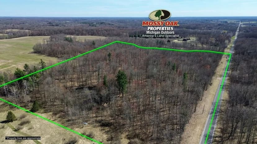 23 +/- Acres / Kent County, MI / Cedar Springs, MI / Recreational & Potential Build Site / Land For Sale