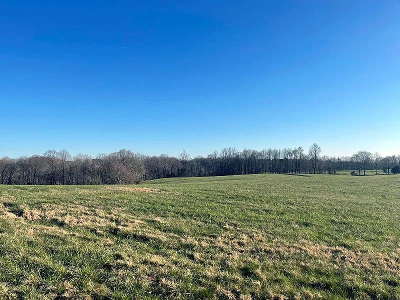 Land -Single Family Acreage in Russell Springs - Russell Springs, Kentucky, 42642