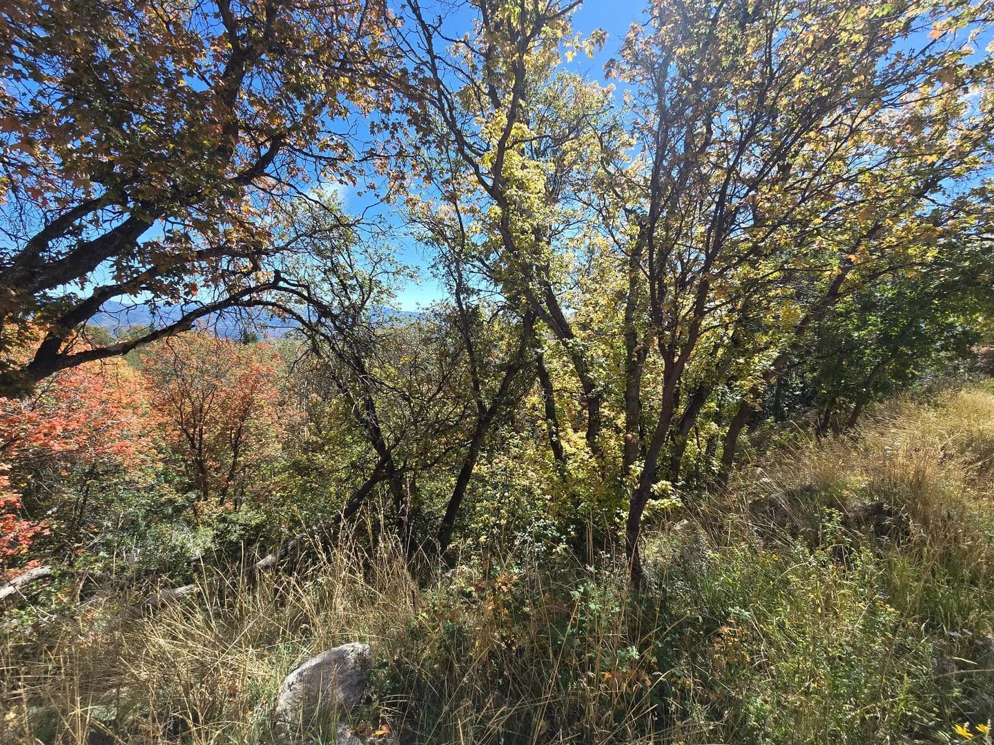 Vacant Land in Coalville - Coalville, Utah, 84017
