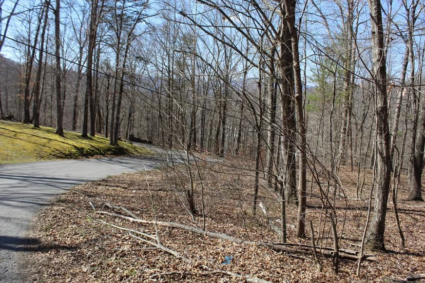 Lots & Land-Other in Middlesboro