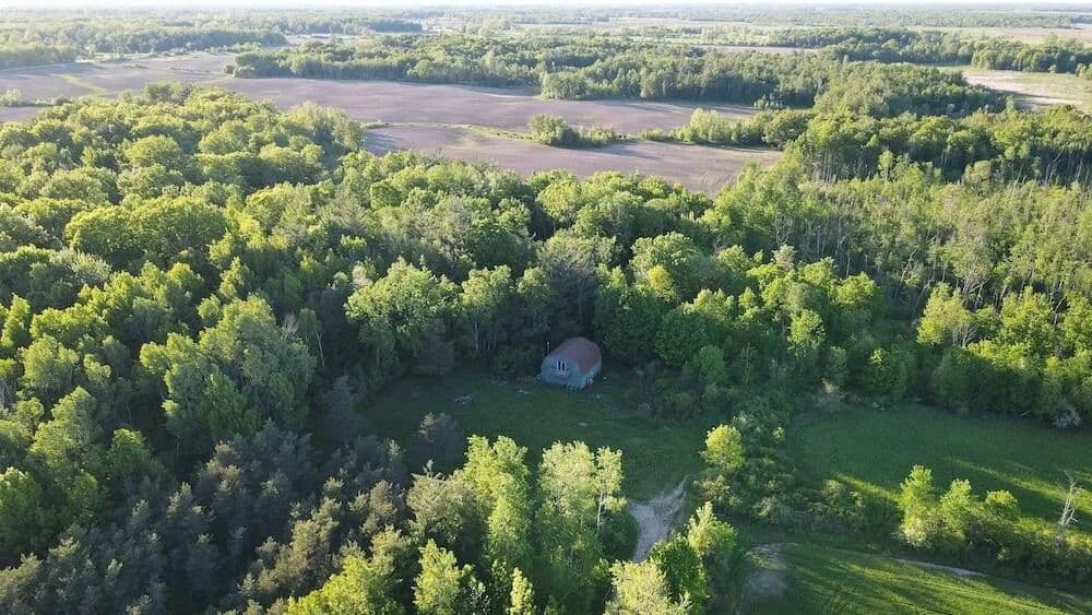 80 Acres of Land for Sale in Prescott, MI - Prescott, Michigan, 48756