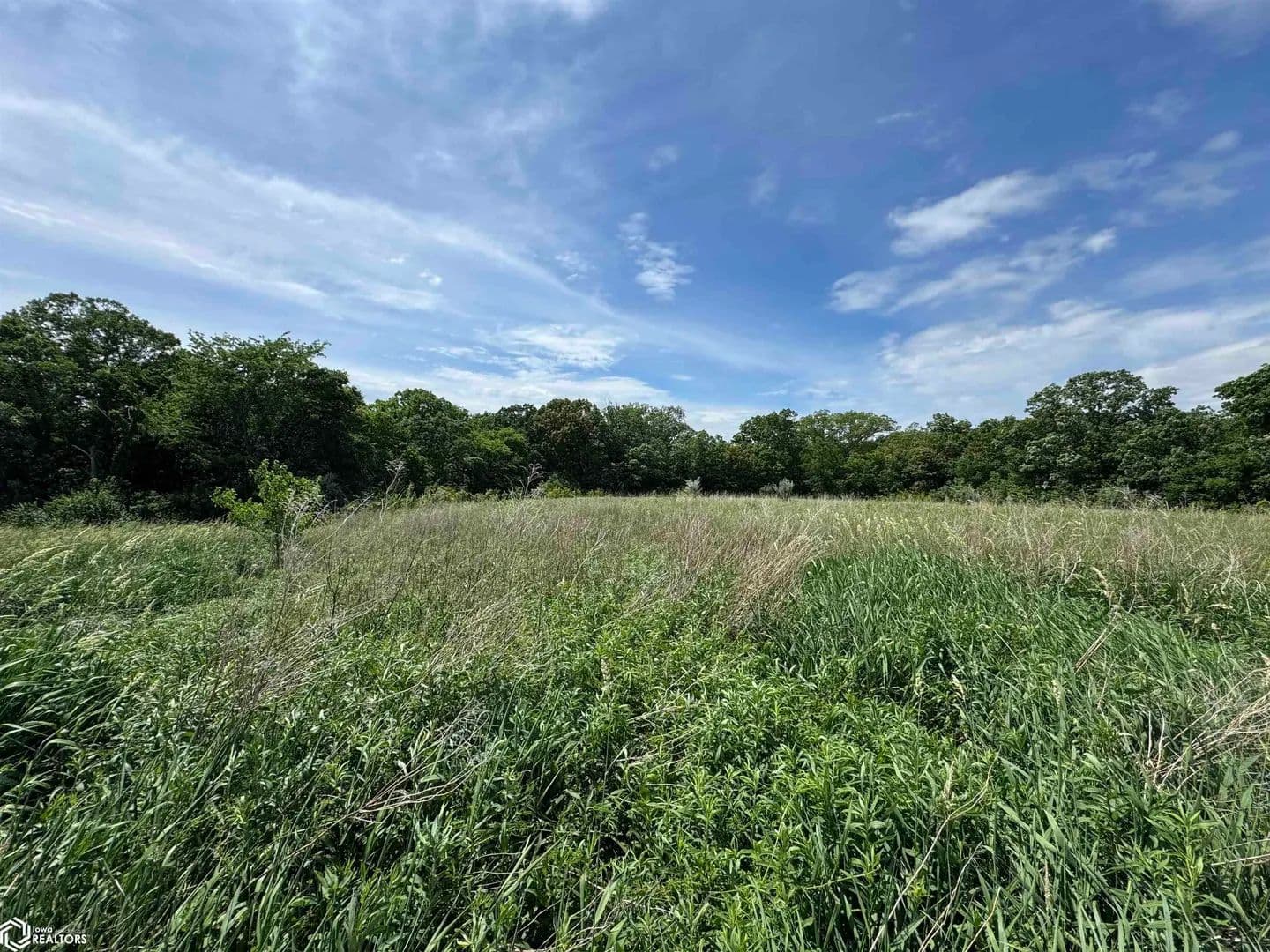 Property from Magnolia Lane - KW - Danville, Iowa, 52623