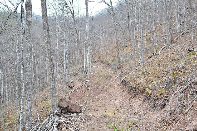 Lots & Land-Other in Dawson