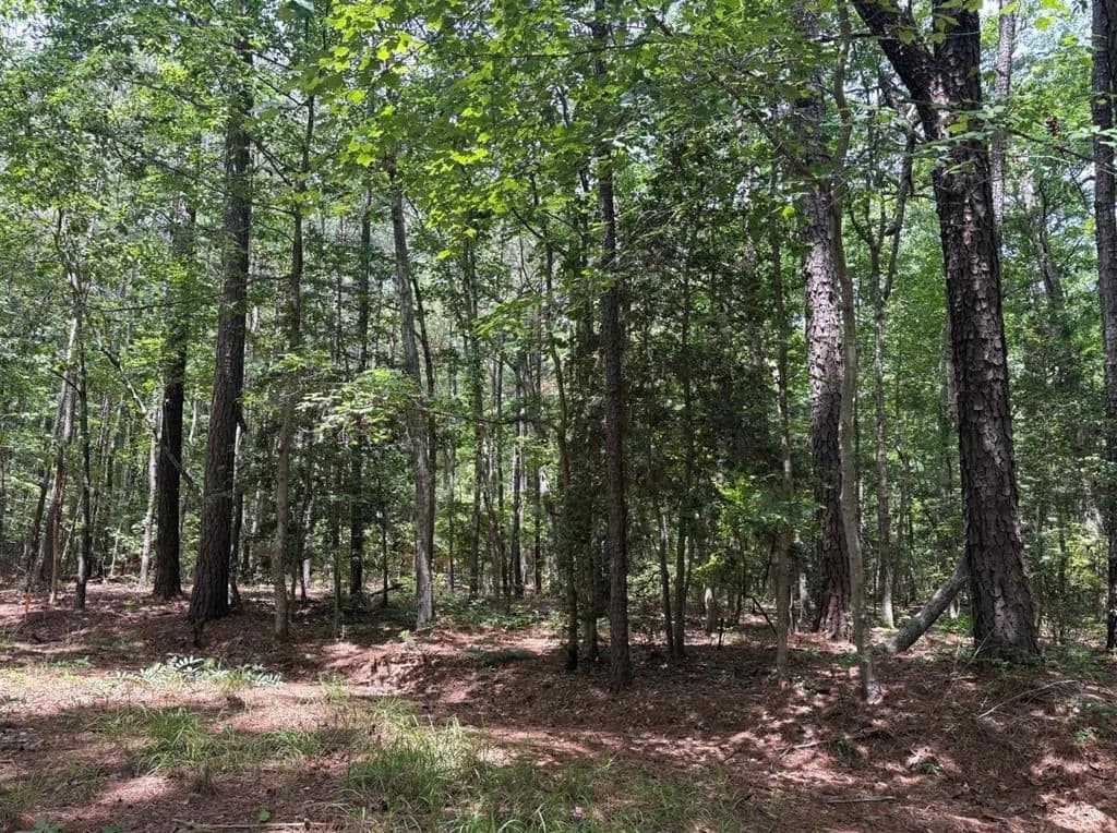 0.25 Acres of Land for Sale in HAGUE, VA - Hague, Virginia, 22469