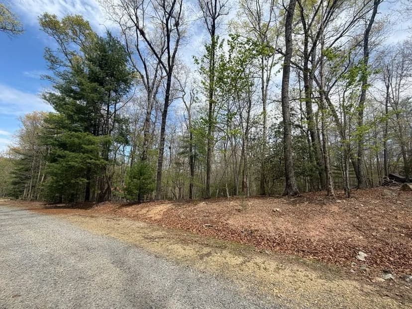 Lots & Land-Other in Morganton