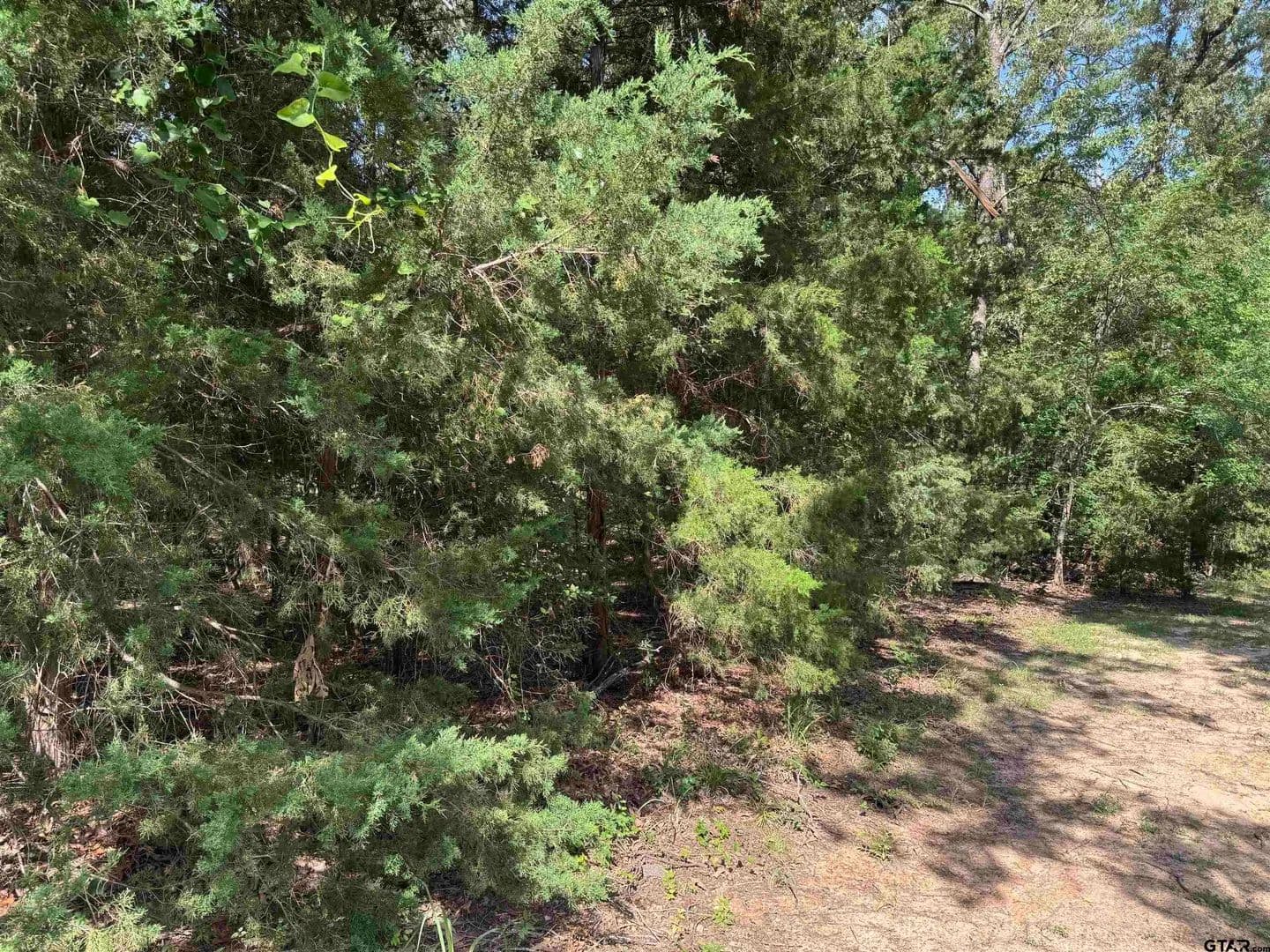Lots & Land-Other in Mt Vernon - Mt Vernon, Texas, 75457