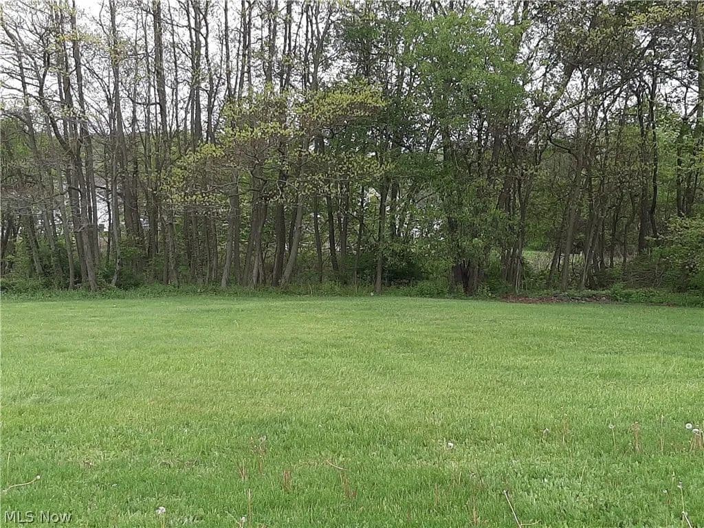 Vacant Land in Canton - Canton, Ohio, 44704