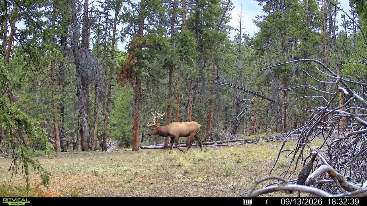 Ten High Ln.. 20 acres +/- Alma, Co - Alma, Colorado, 80420