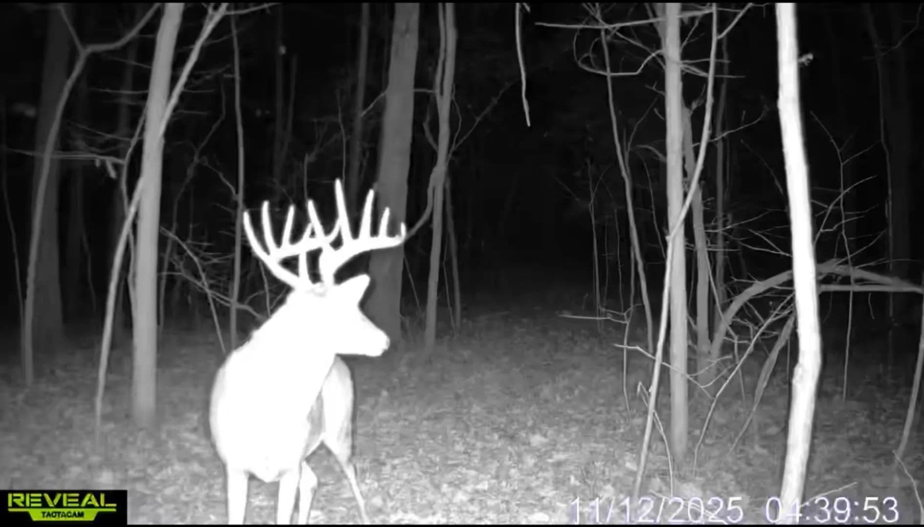 Secluded 20-Acre Tract w/Mature Timber, Hunting & Build Potential – Howard County - Fayette, Missouri, 65248