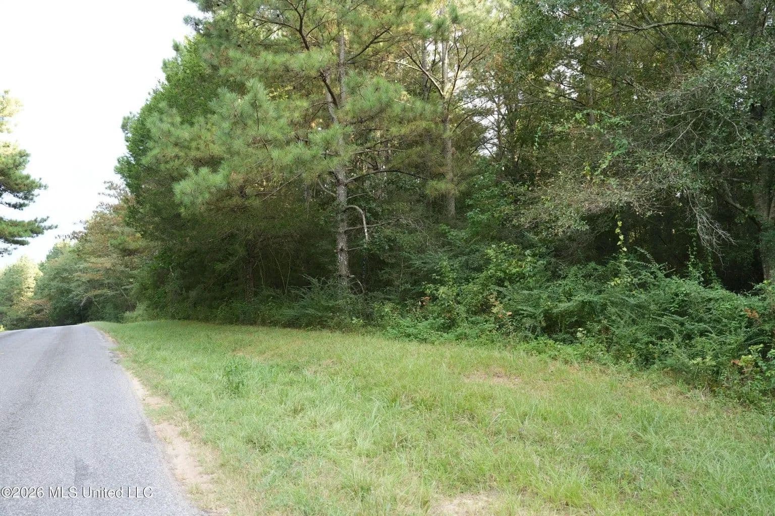 14 Acres for Sale Near Louin MS | Jasper County Land - Louin, Mississippi, 39338
