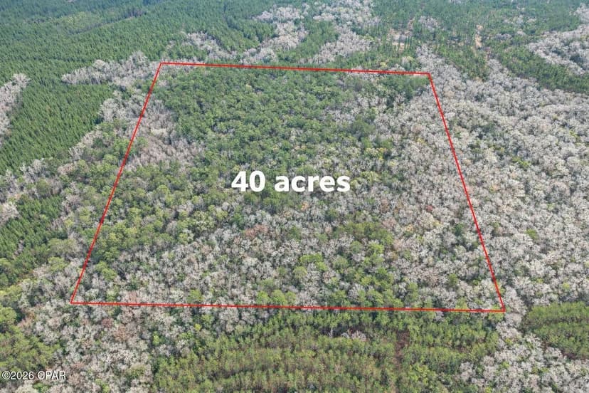 Property from 00 Clemmons Rd Road - KW