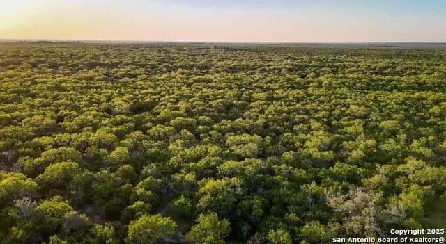 Vacant Land in Beeville - Beeville, Texas, 78102
