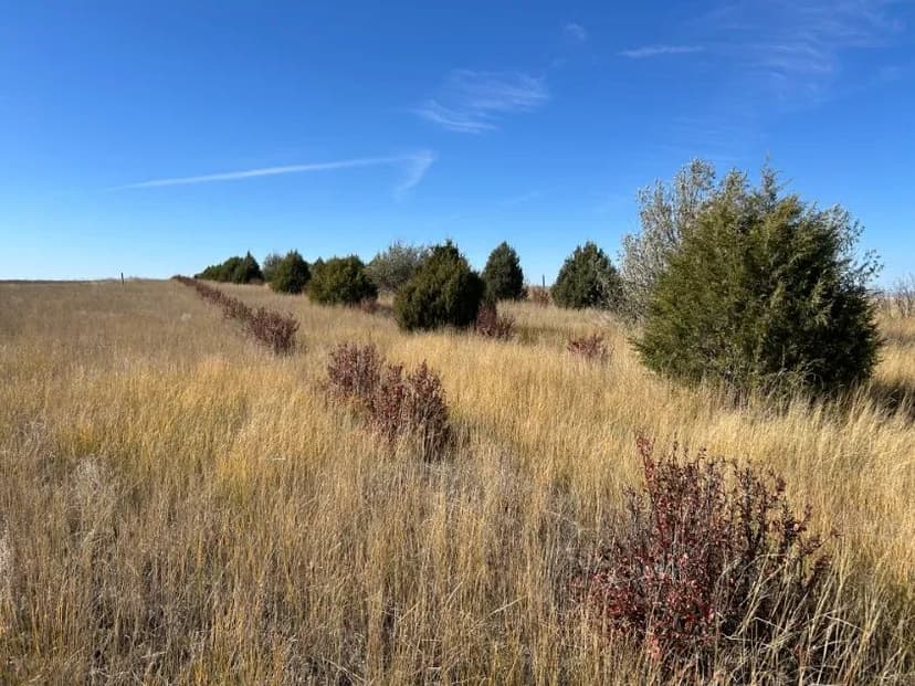 1,225 Acres +/- Box Butte County, Nebraska Land for Sale