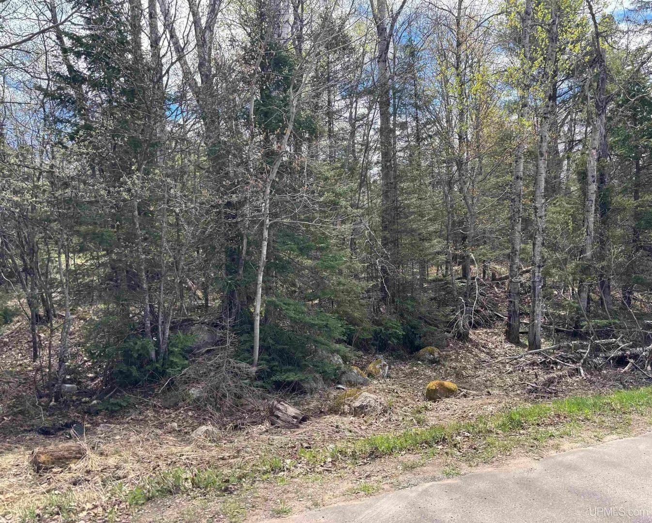 Vacant Land in Champion - Champion, Michigan, 49814