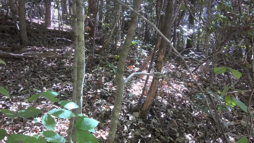 Property from LT 18 Mountaineer Rd. - KW