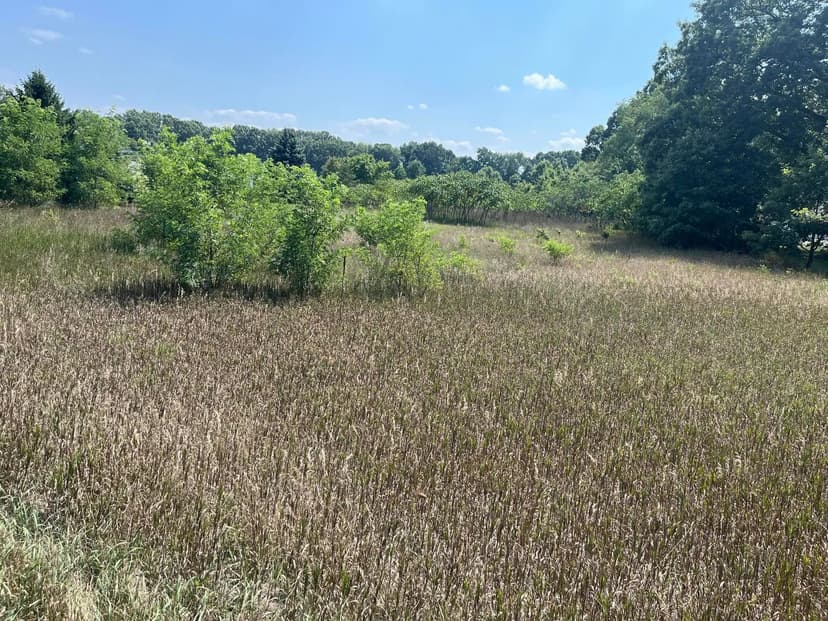 Lots & Land-Other in Allegan