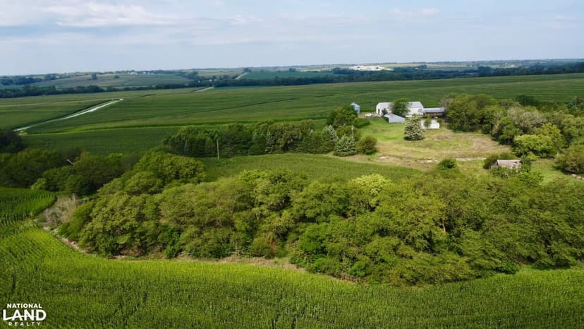 Palmyra Farm & Fish