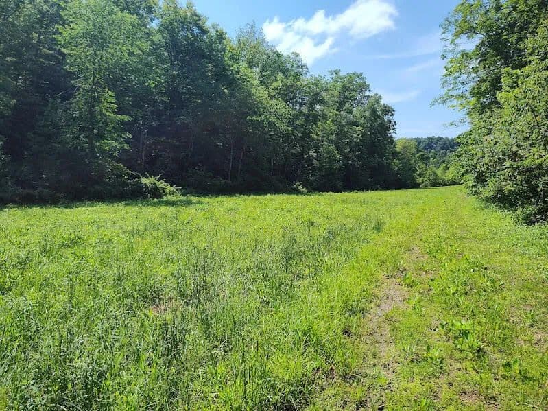 Property from 350 Boyd Cemetery Road - KW - Morehead, Kentucky, 40351