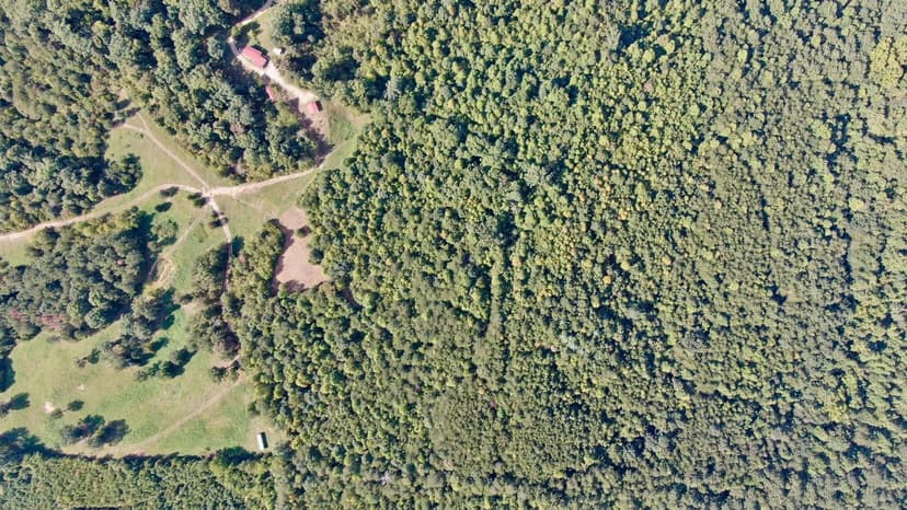 Property from 000 Liberty Church Road - KW