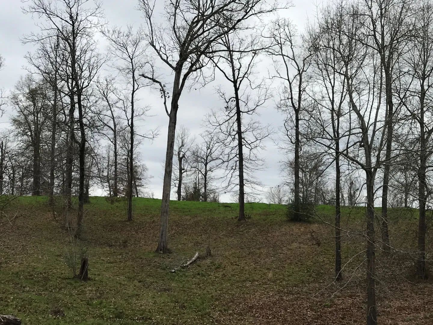 Vacant Land in Many - Many, Louisiana, 71449