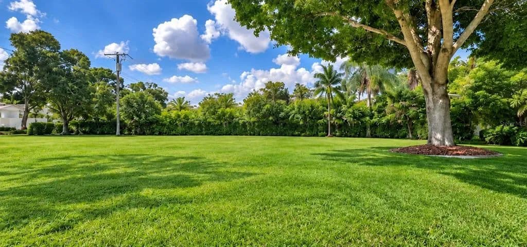 Vacant Land in Tampa - Tampa, Florida, 33629