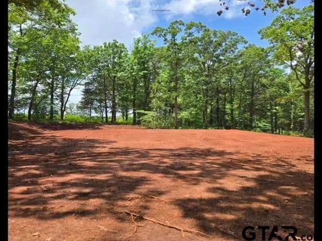 Vacant Land in Jacksonville - Jacksonville, Texas, 75766