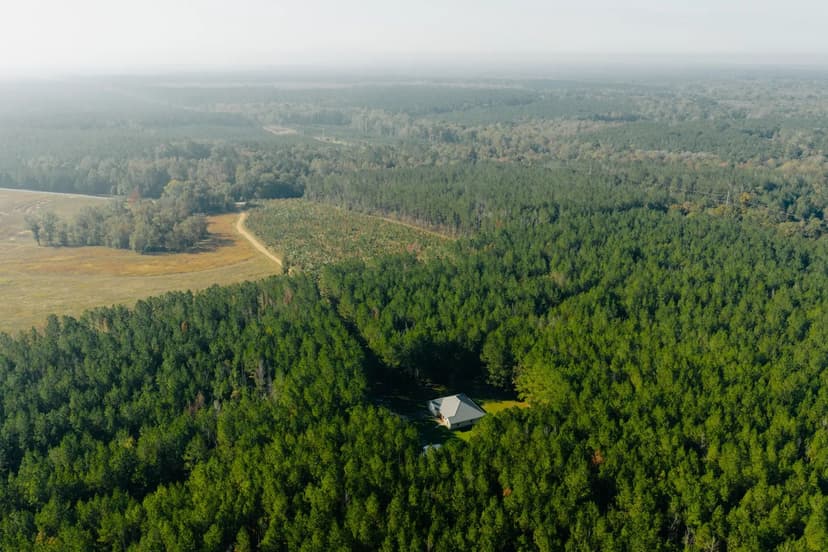116.98 Acres with a Home in Lincoln County, MS 
