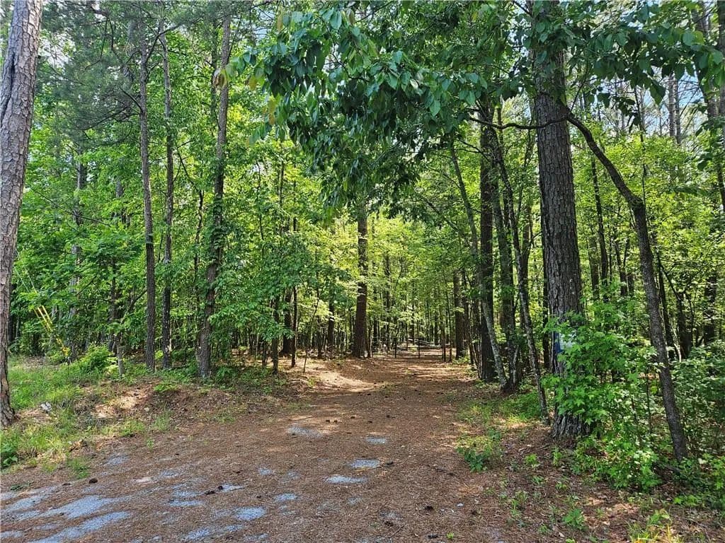 Vacant Land in Dallas - Dallas, Georgia, 30132