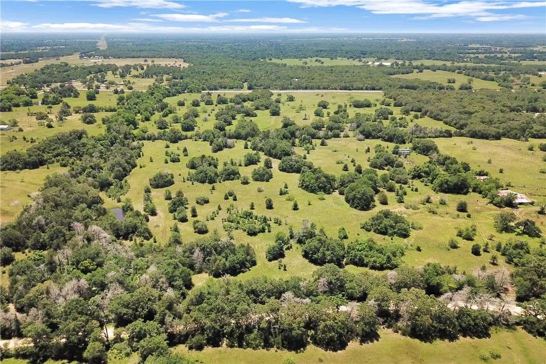 20.02 Acres of Land for Sale in Madisonville, Texas - Madisonville, Texas, 77864
