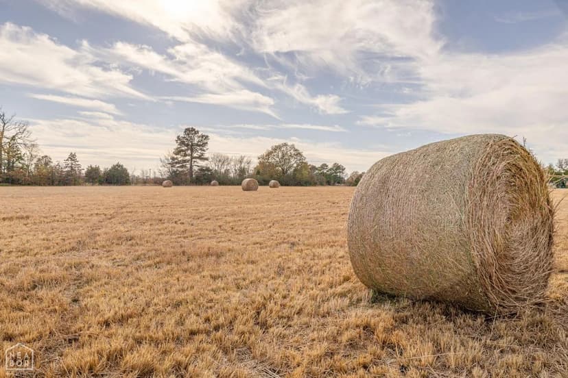 Vacant Land in Jonesboro